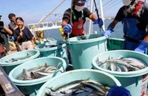当年的争议没有消失，日本海鲜为什么反而越卖越多？2023年8月24日，日本启动福