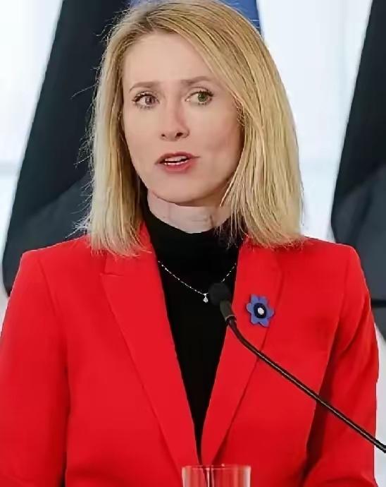 欧盟这扇门，突然焊死了！
​4月27日，欧盟直接出台强硬新规，全面开始清算行动。