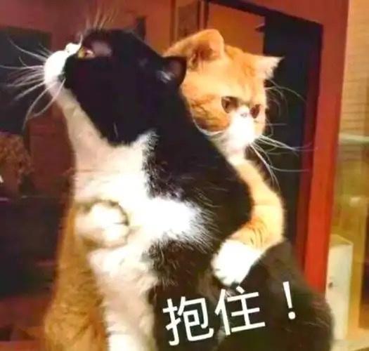 宝宝们，最近是不是状态很差，特别是工作不好，很焦虑？其实从八字上来说，经济马上要