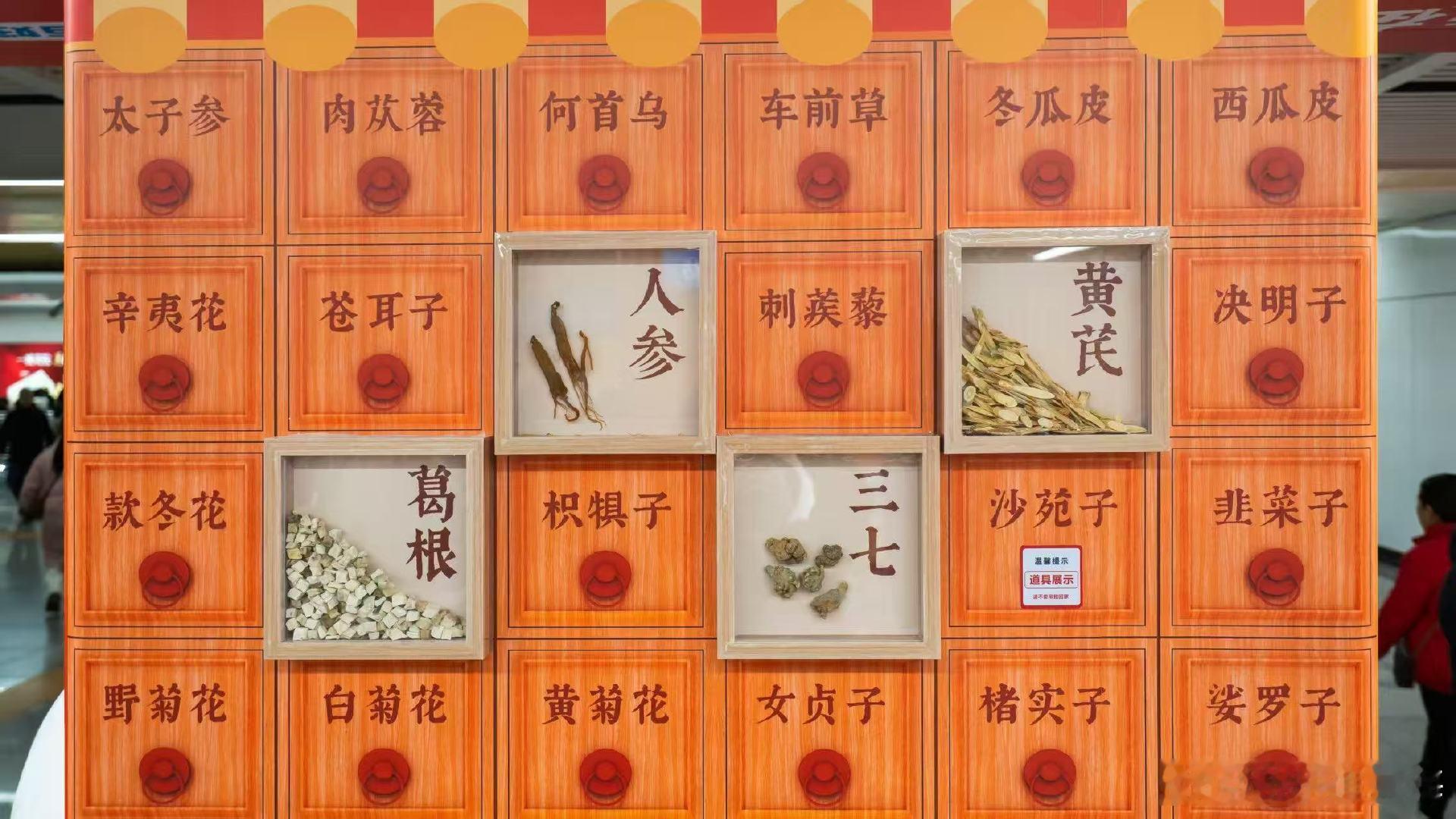 长沙通勤党狂喜！中药名居然这么有梗～ 黄芪“补气担当”、三七“护血管能手”、人参