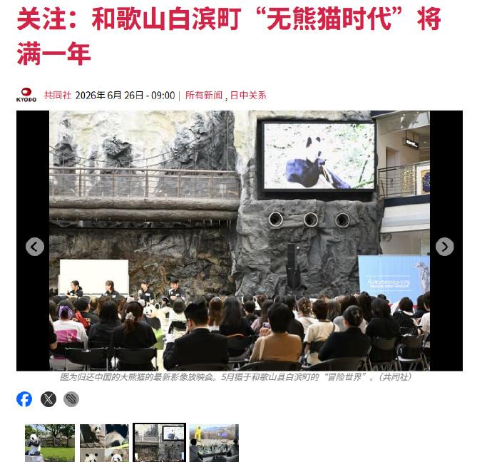 又赢麻了？
共同网最新文章称，在归还4只熊猫1年后，日本和歌山县白滨町的“冒险世