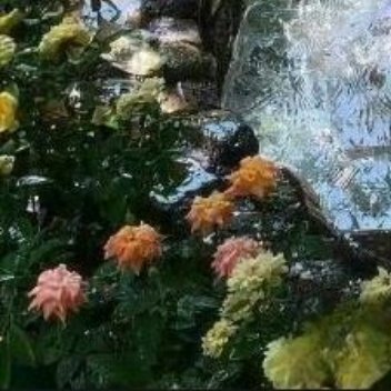 他所说的“让她三分”，不是“三分流水七分尘”的“三分”，而是“天下只有三分月色”