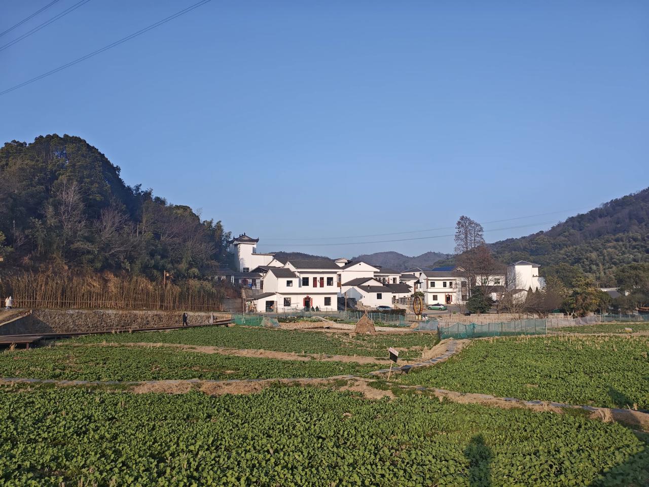 这个年就这么静悄悄地过完了，马上又要踏上回程的路，心中有股莫名的失落。现在过年对