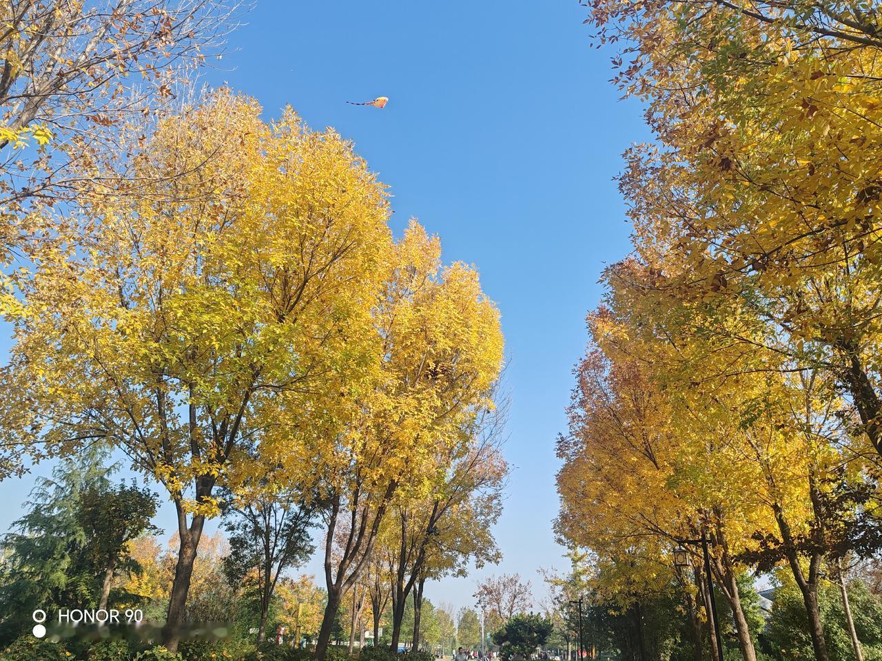 1、功利性学习的性价比争议。多数人日常生活、工作中几乎用不上英语，但从小学到大学