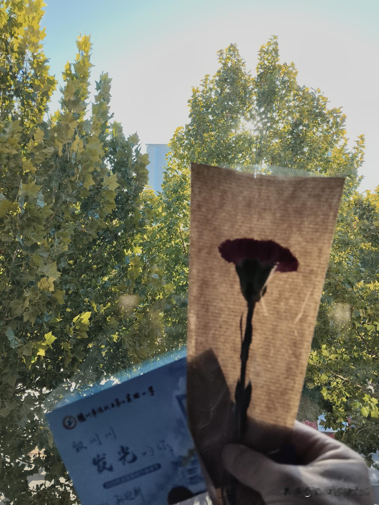 一早收到两件教师节礼物，一件是整个世界，一件是一个瞬间，合在一起是幸福。

吃完