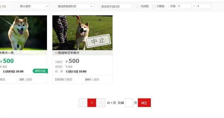 狗生艰难柴犬登登二次被挂法拍还债