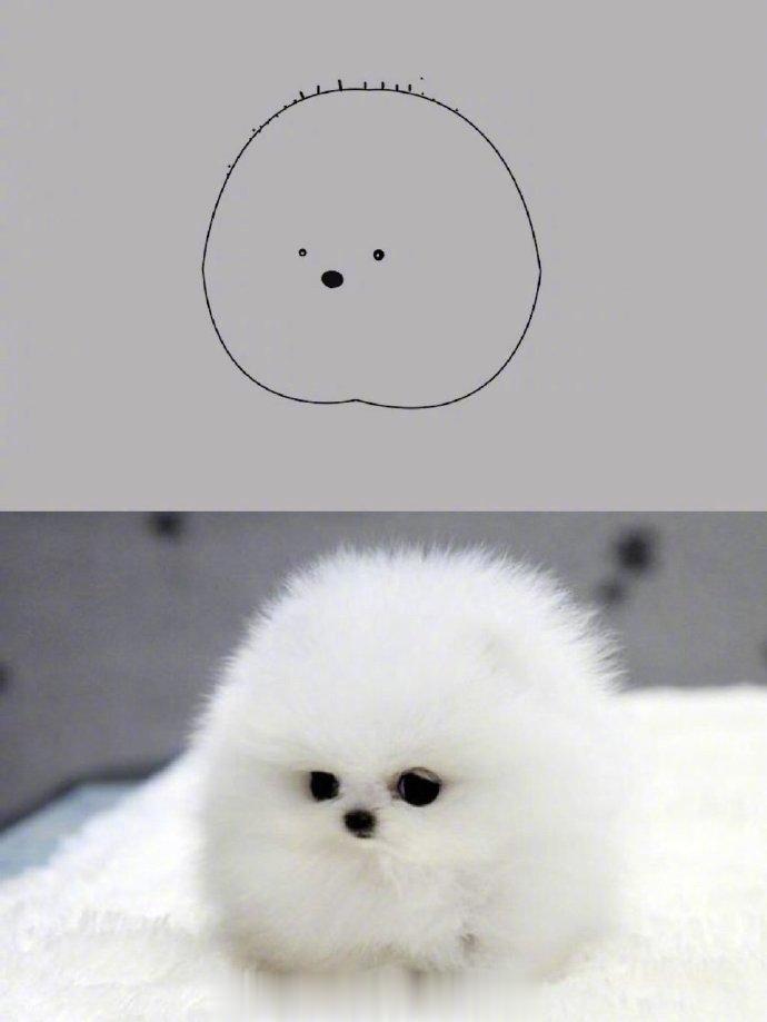 沙雕动物简笔画，可以说是很传神了[doge] ​​​