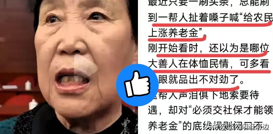 真是可笑，就因为农民代表郭凤莲同志，在“两会”上提了个给农民增加养老金的提案，现