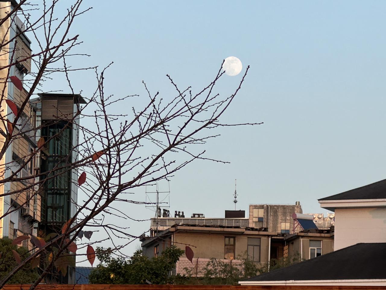 无意中看到一份在职人员的2026年元月份的工资表，我感兴趣的是跟我同样职称的老同