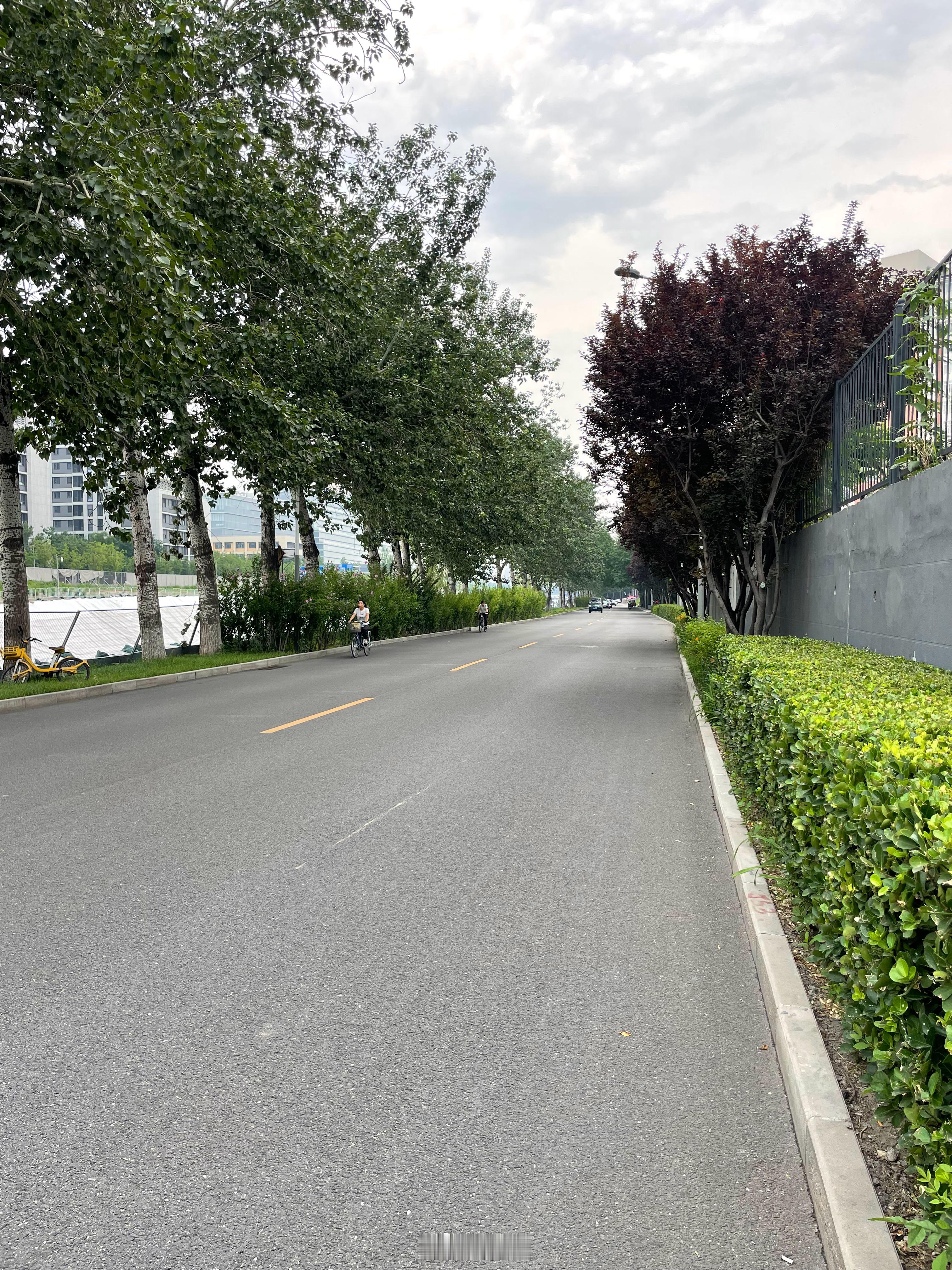 北京有些道路都没有人行道了。道路北京