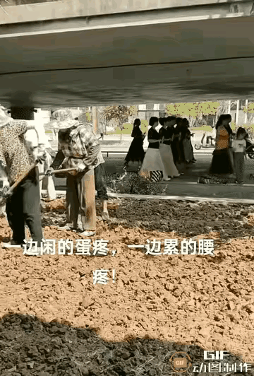 同龄不同命，同伞不同柄！！