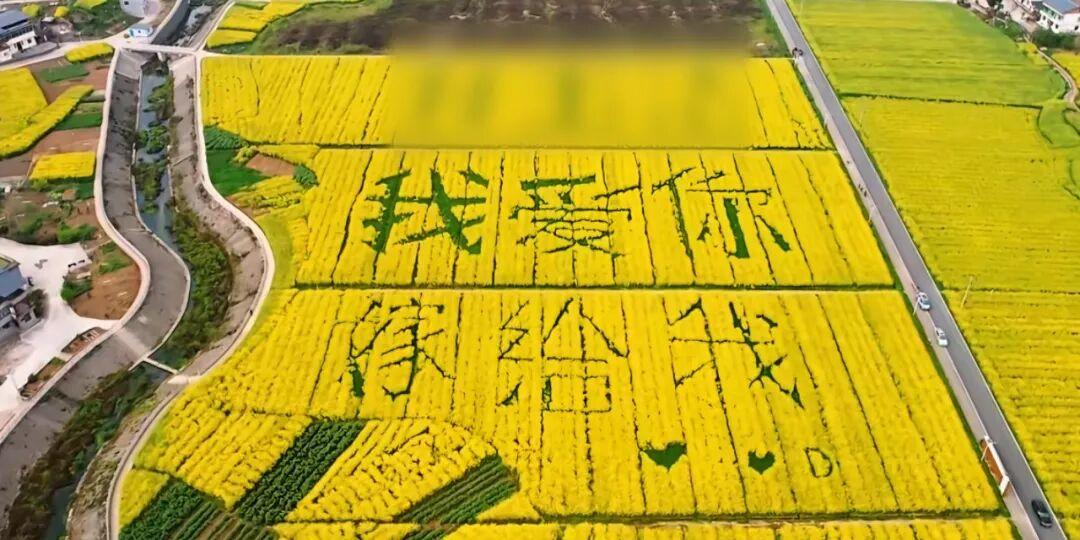 有网友翻看卫星地图时，意外在重庆垫江县沙坪镇毕桥村河坝湾的农田里发现巨型文字，整