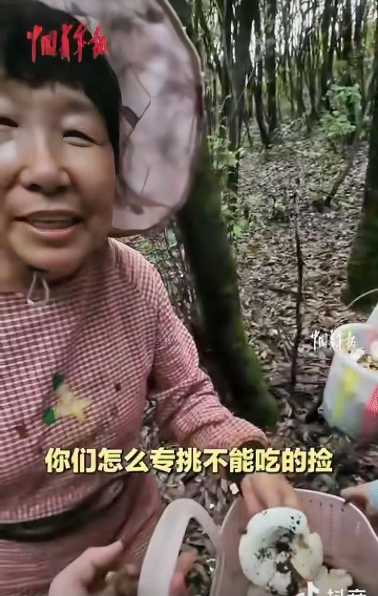 “笑不活了！”云南，两名游客上山捡菌子，偶遇一位当地阿姨，就让阿姨帮忙挑毒菌，不