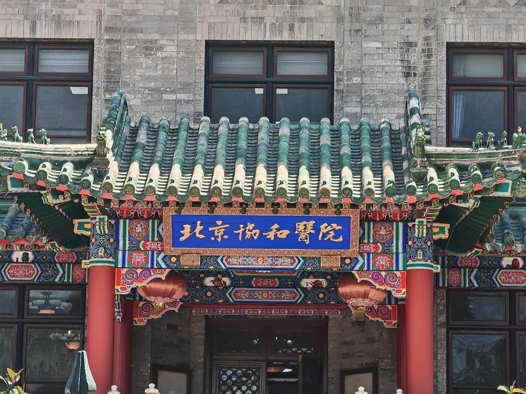 其它如北京大学第一医院：肾脏病科（全国重点学科）、泌尿外科、小儿内科、皮肤科实力