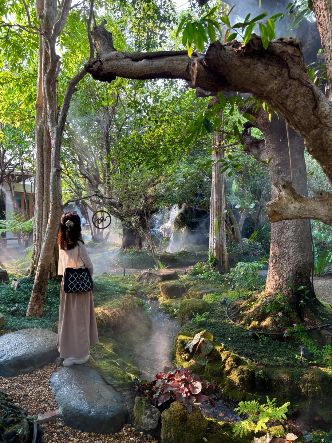 深圳打工人挑战周末旅游第5️⃣6️⃣站清迈