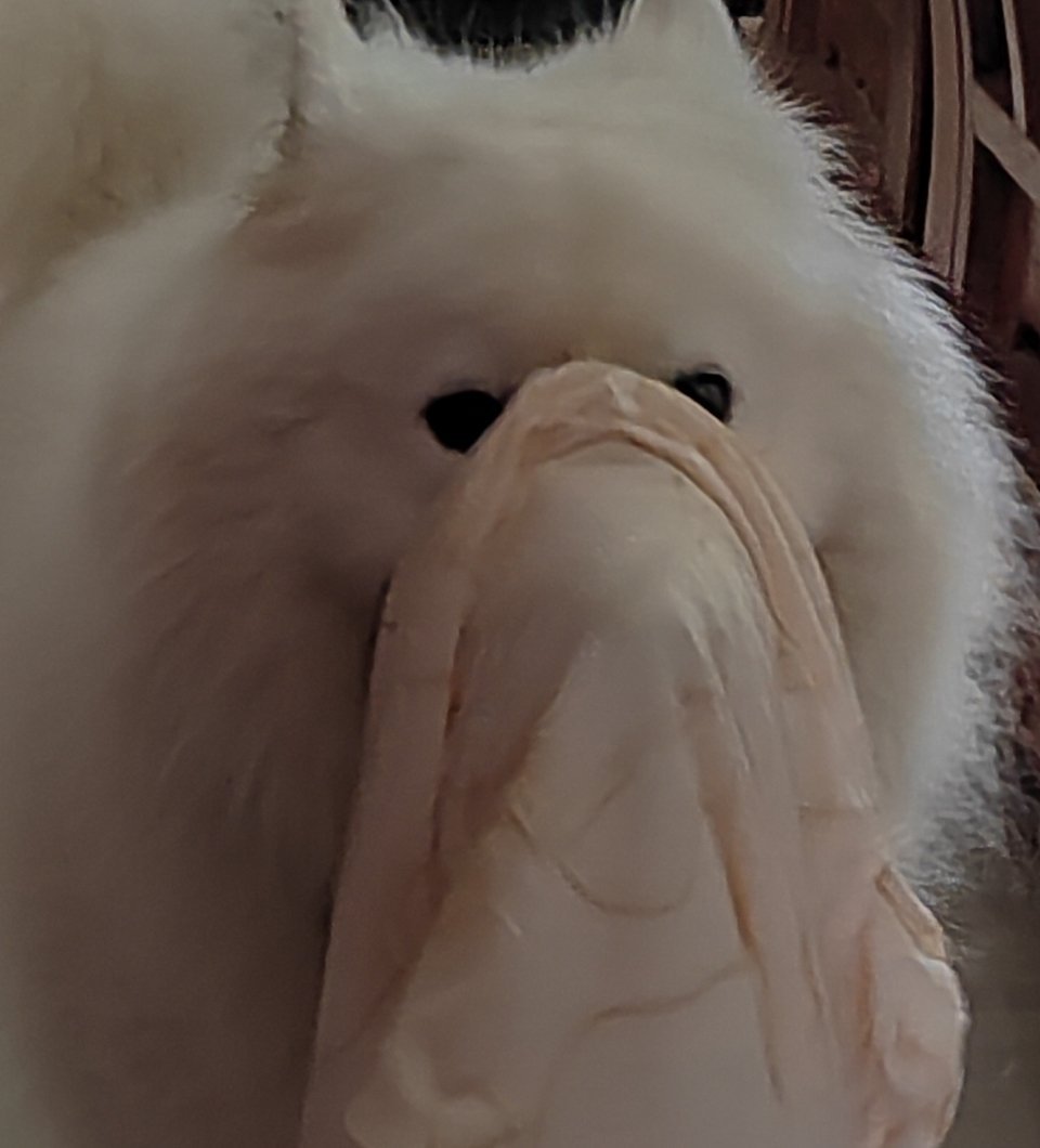 去，找点文給大王看看！ 