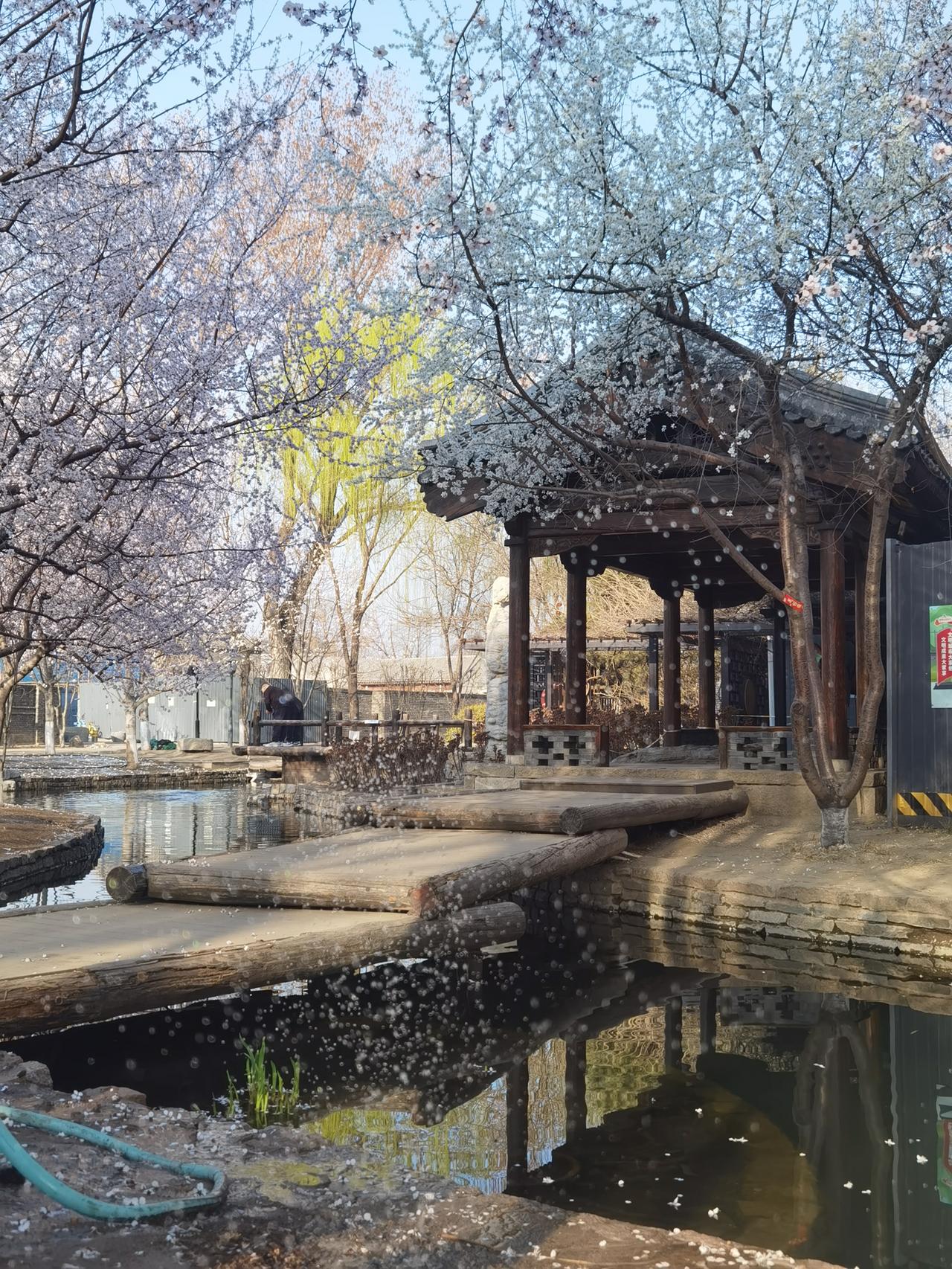 为了看三里河的春天 ，专门去了一趟北京，果然没辜负我，春色果然好。

到三里河公