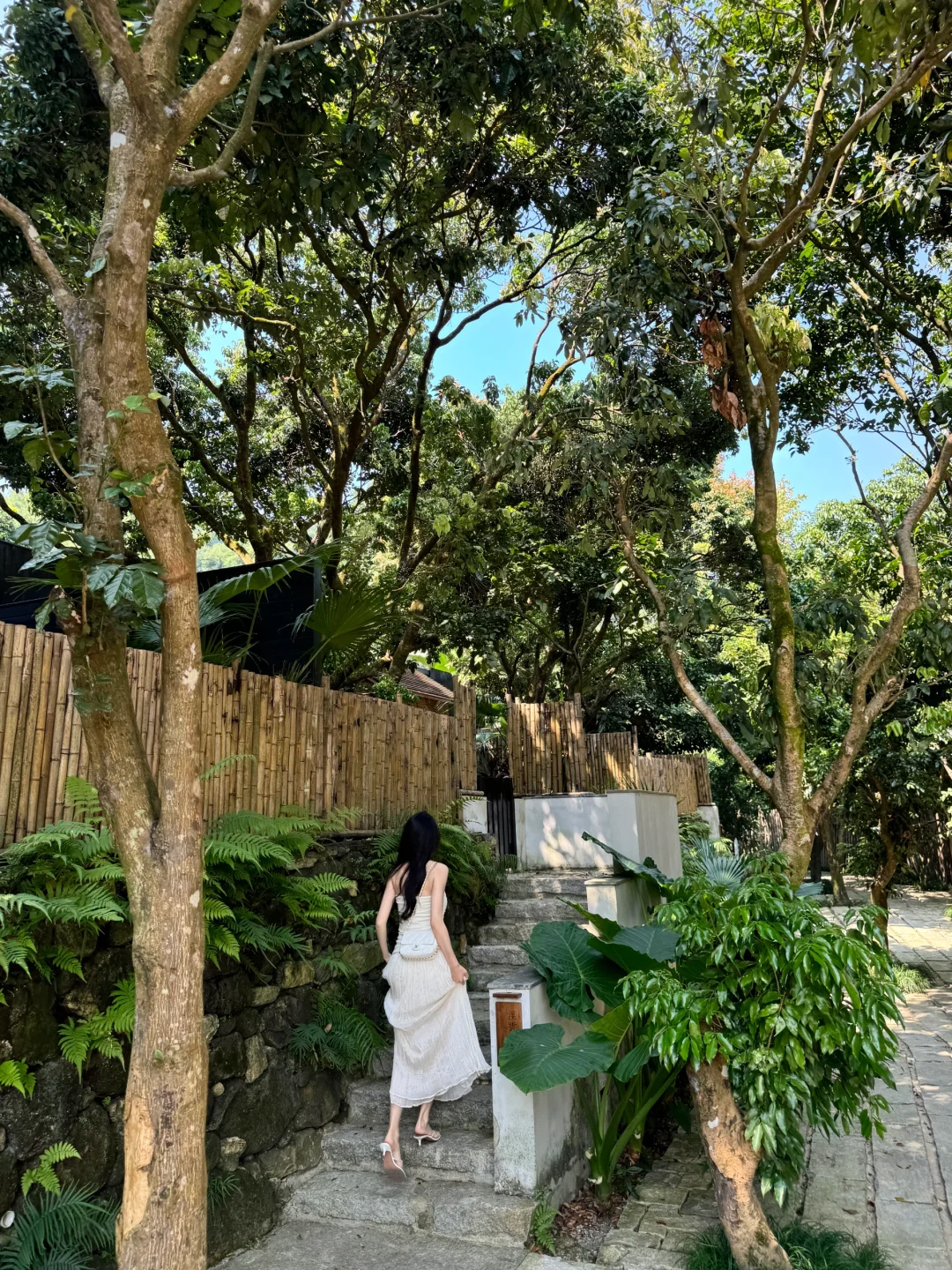 广州周边1小时的Staycation🌳藏在森林里