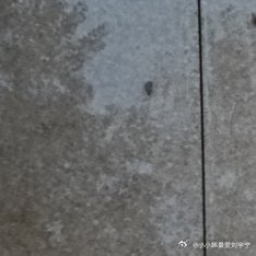 秋天的落叶🍂 ​​​