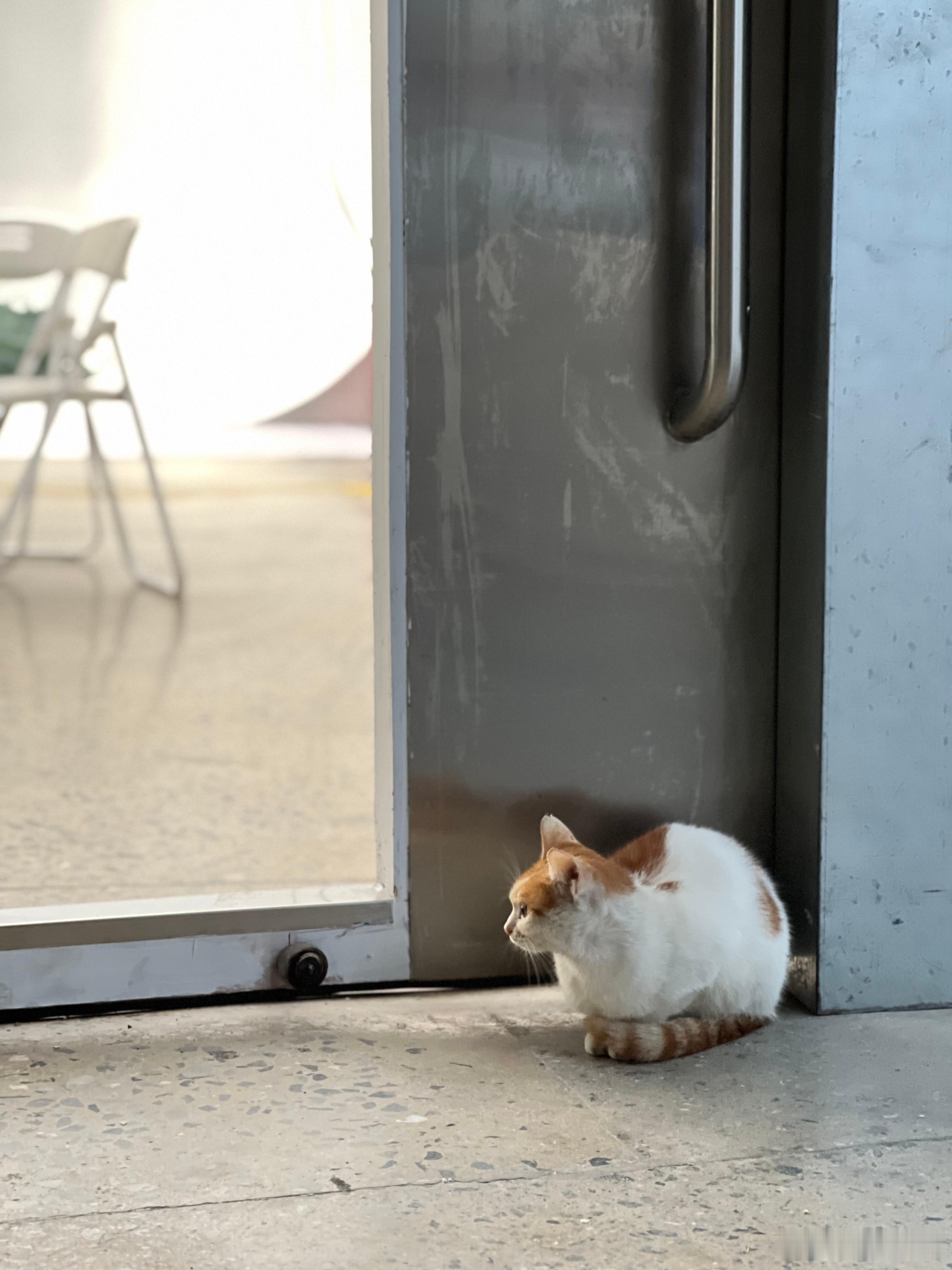 保密协议你签了没？500万呢大v聊车 ​​​