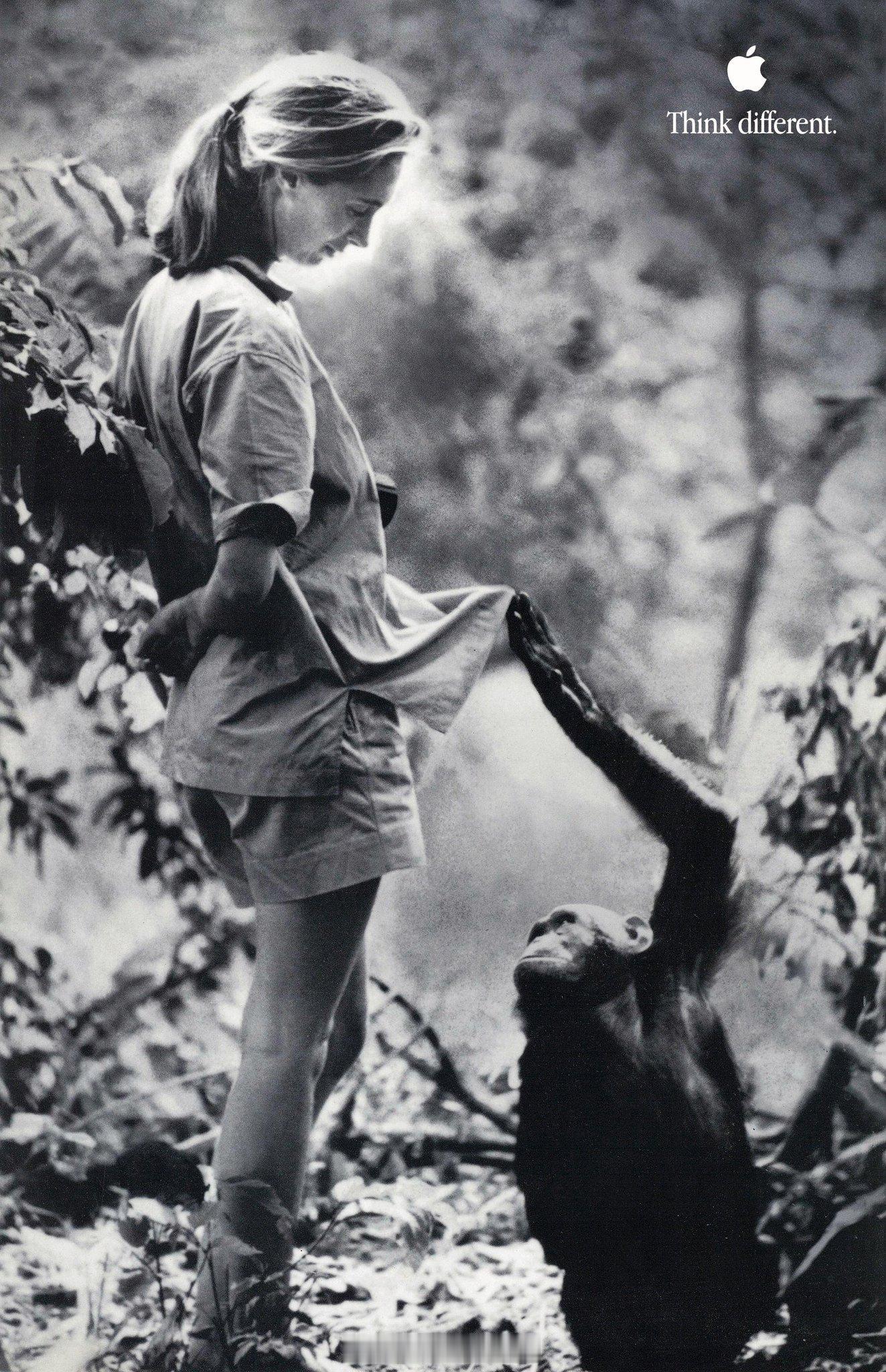 分享图片 ​​​