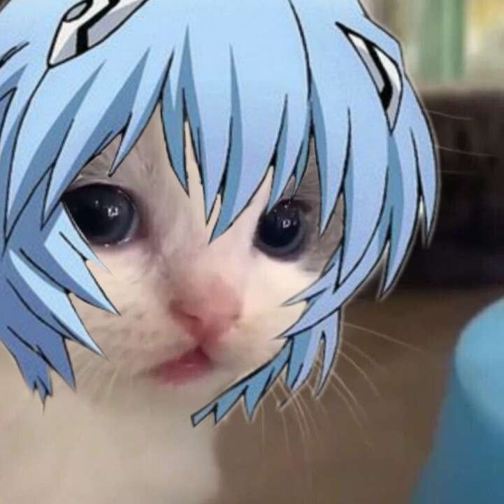 绫波咪 ​​​