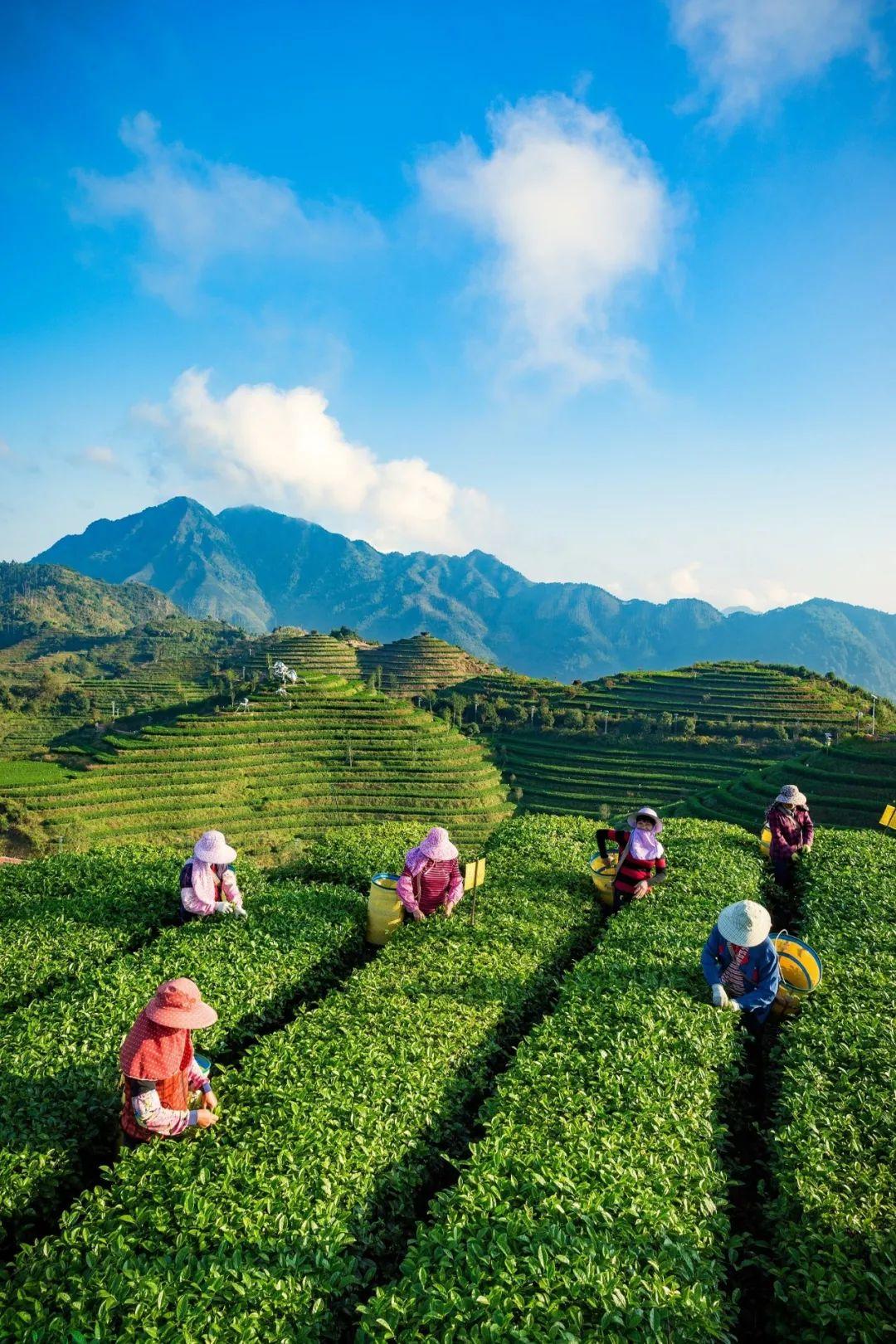 【你不必行色匆匆，不必光芒四射，不必成为别人，只需做自己】
        在快