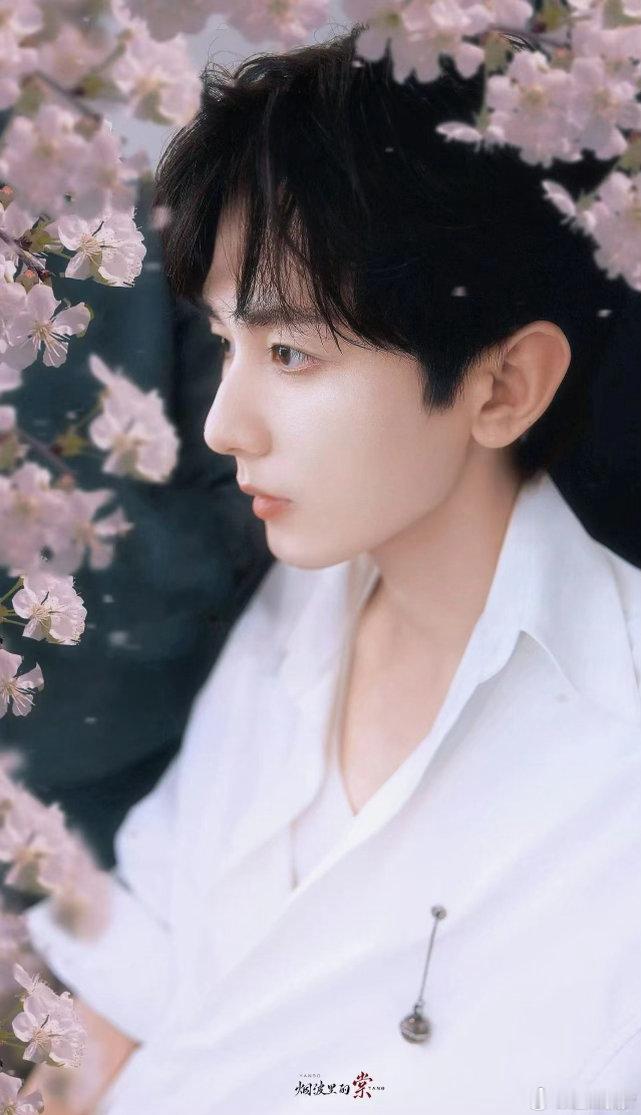 成毅莲花楼 cy 成毅李莲花李相夷成毅，浮世再热闹，都不及你演角色时，眼底那片静