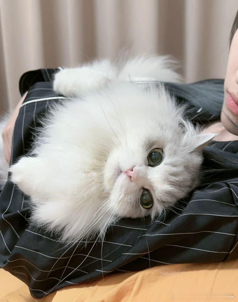 不丢好可爱的小丢丢😺 
