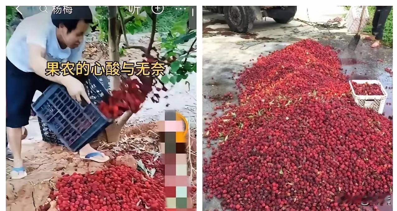 5月17日，福建漳州“药水杨梅”事件持续发酵，市场已出现严重反噬：经销商滞销、外