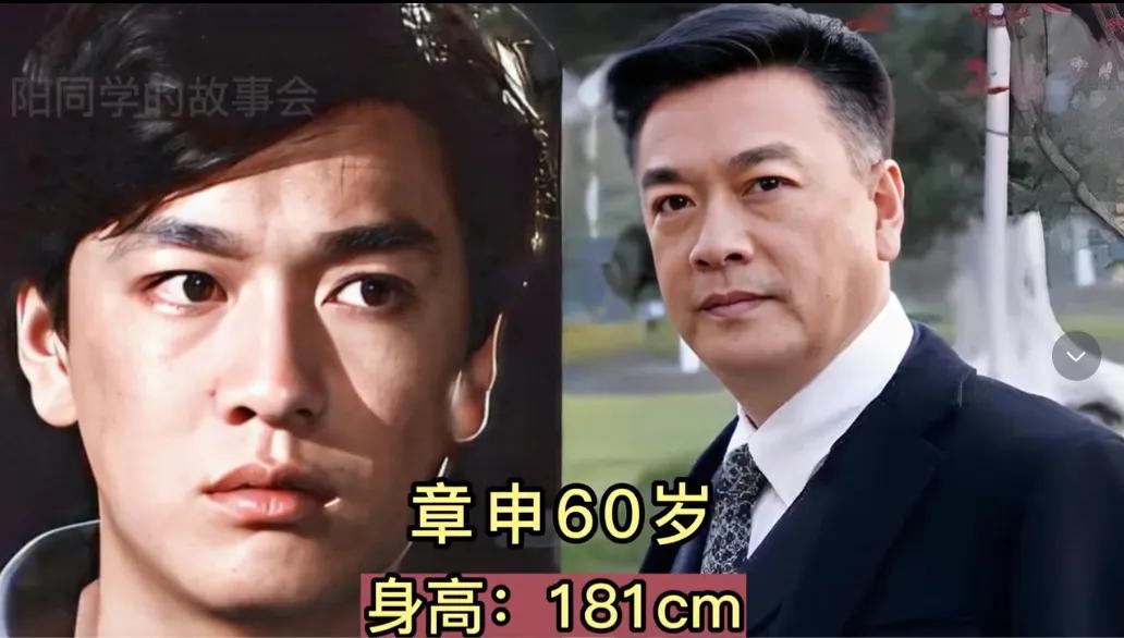 年轻的时候他们个个英俊帅气，个个身形挺拔，从老一辈的英俊帅气的章申、英俊帅气的王