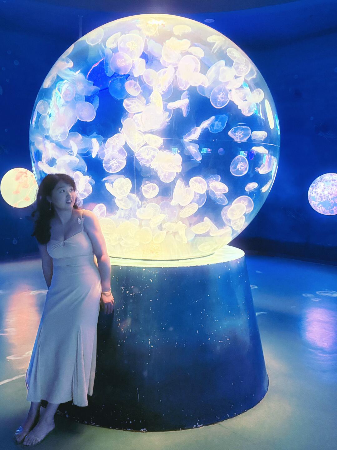 日照的海洋公园挺好拍的