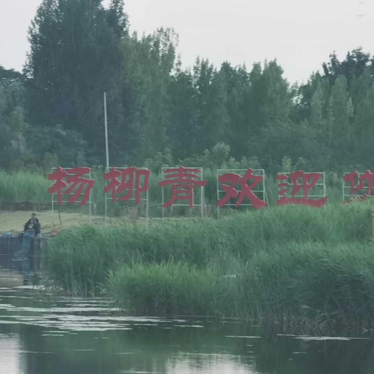 我美丽的家乡
我的家乡，天津城西杨柳青，位于子牙河畔，有西河闸大桥，刚刚由国家投