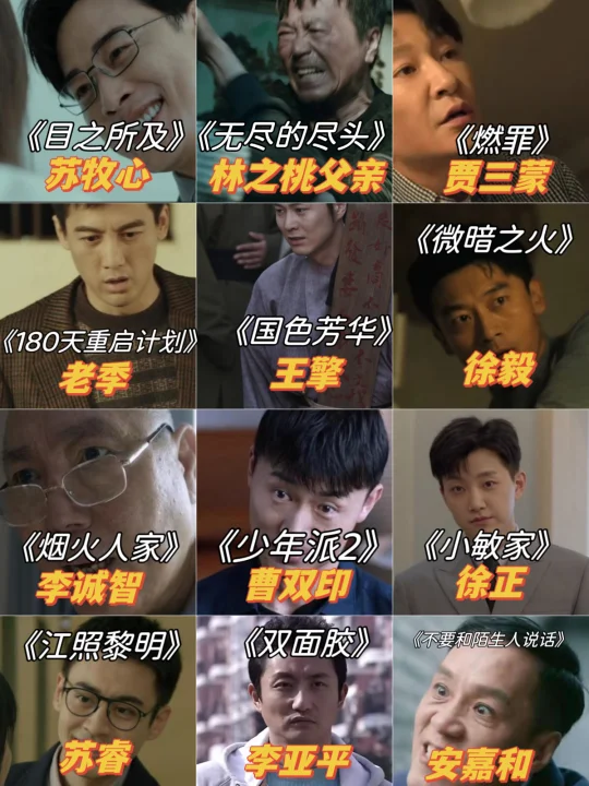 国产剧家暴男图鉴