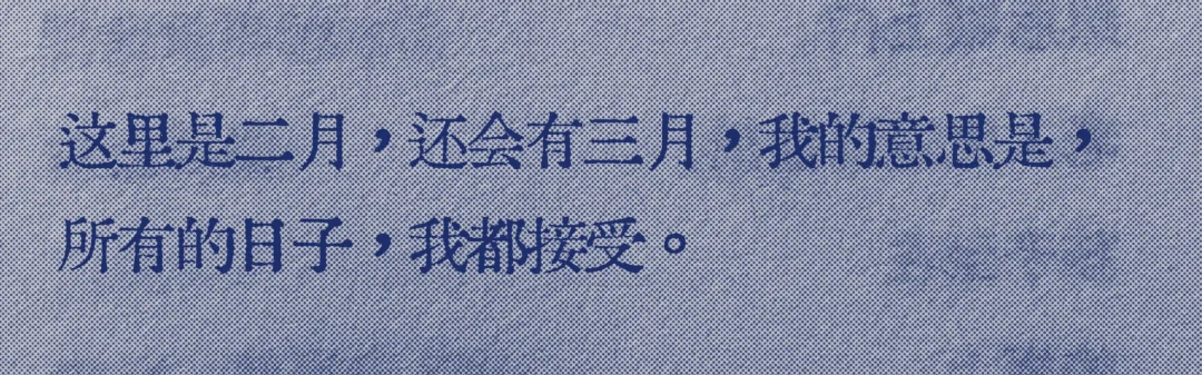 卧槽，我真的太喜欢这个了