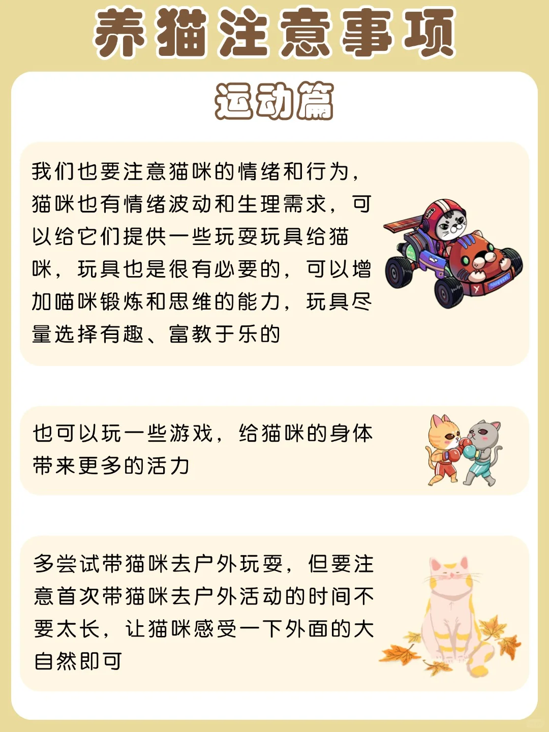 🐱😸猫咪运动的注意事项😸🐱