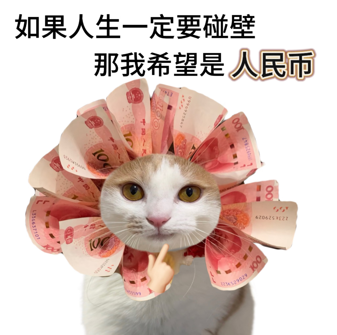 想问下，有没有因为台风或者暴雨停课停工的先例呀？感觉就没怎么看到过停工这个词[d