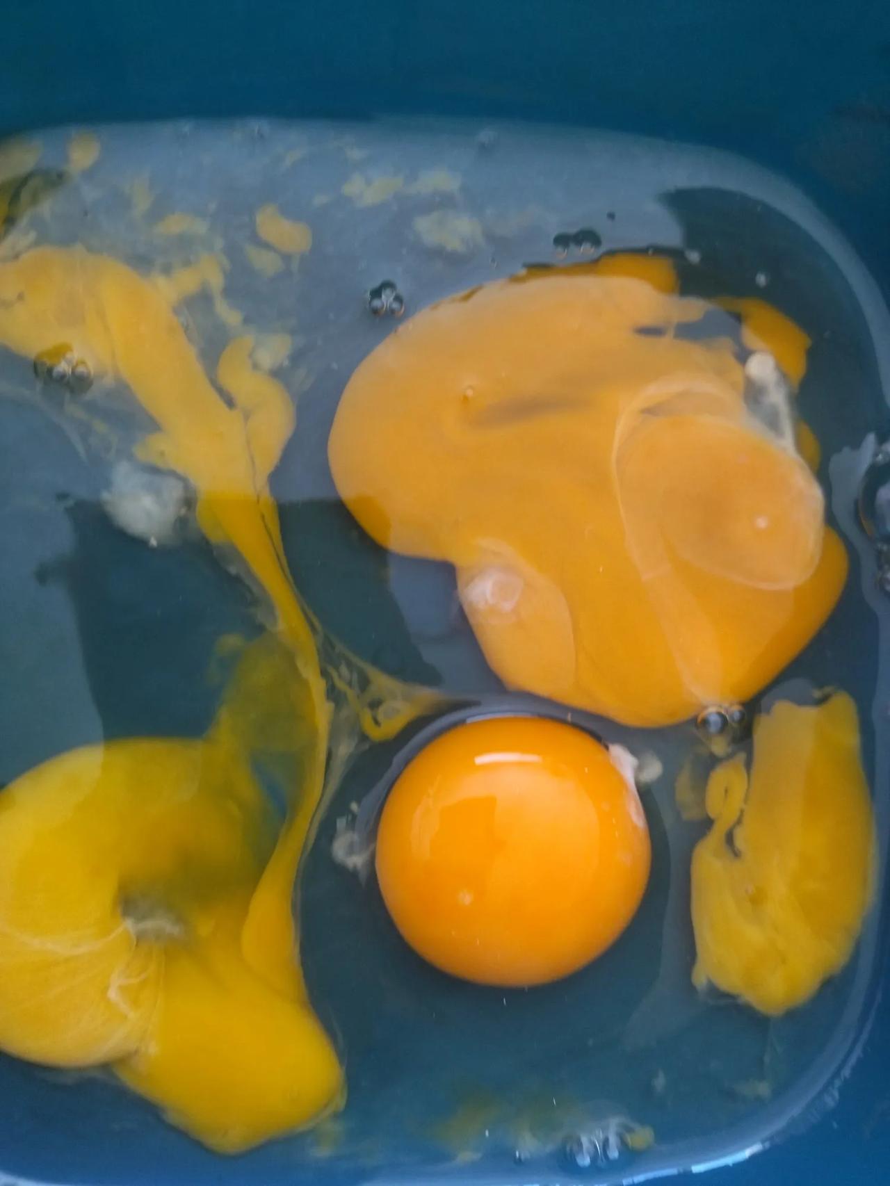 还有像我一样傻的人吗？
把鸡蛋打到垃圾袋，鸡蛋皮扔盆子里的？