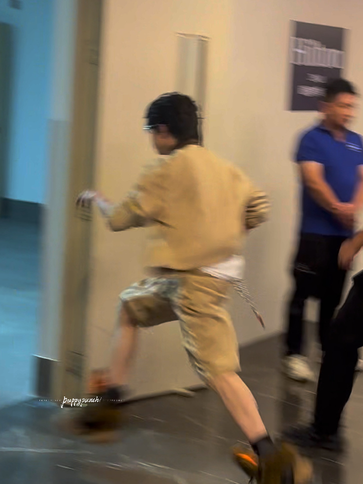 不是没有霸王龙了吗 