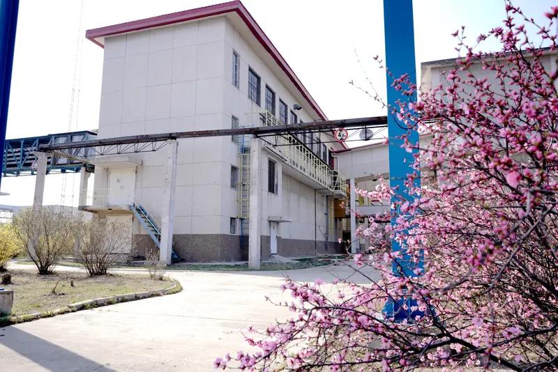 武汉新洲区张信村黄土坡湾这事儿太让人闹心了。一个585人的村子，竟有62人患癌，