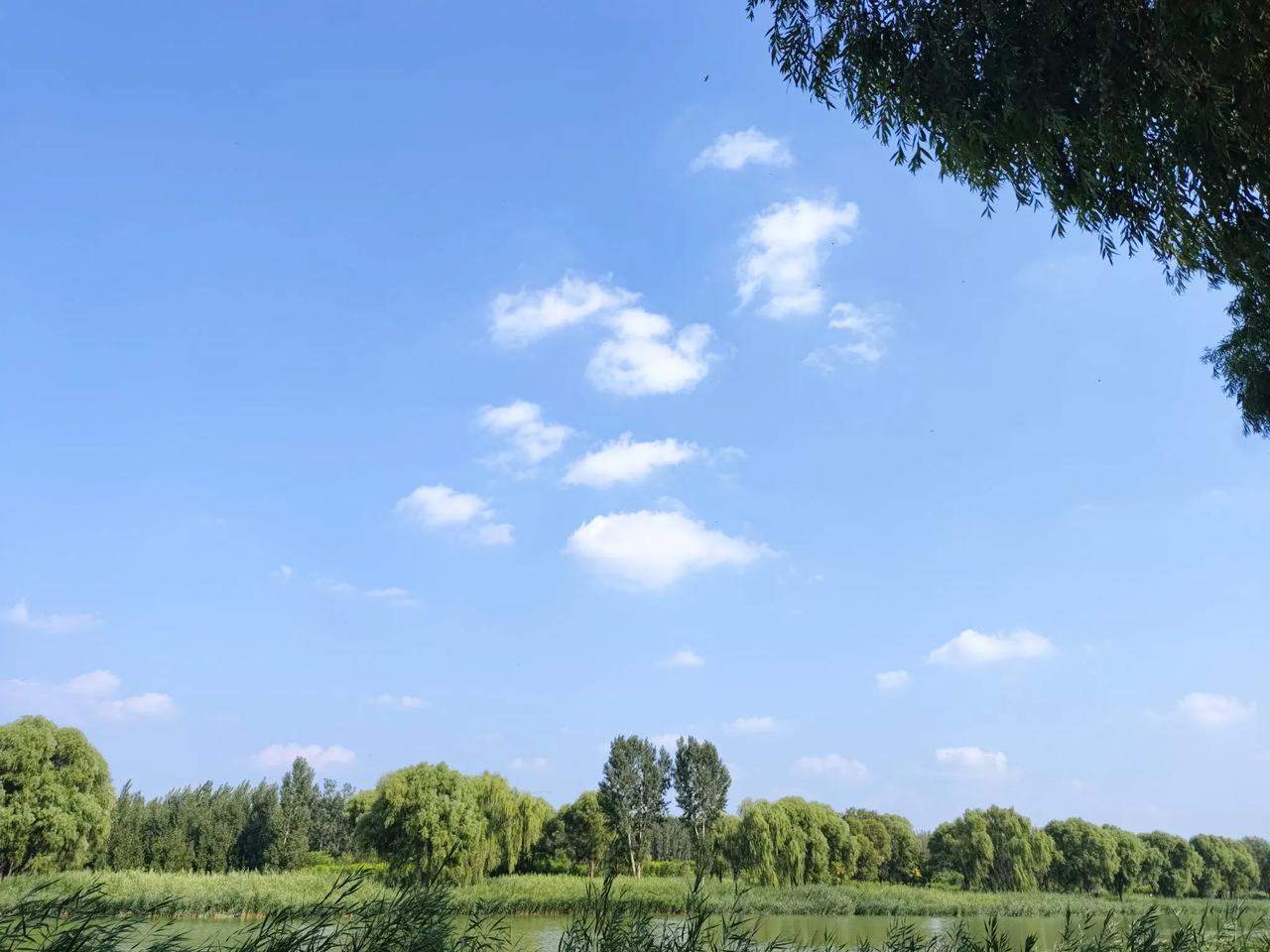 忽有故人心上过，
回首山河已是秋。
不知不觉今天已经立秋了。
 生命中有多少人在