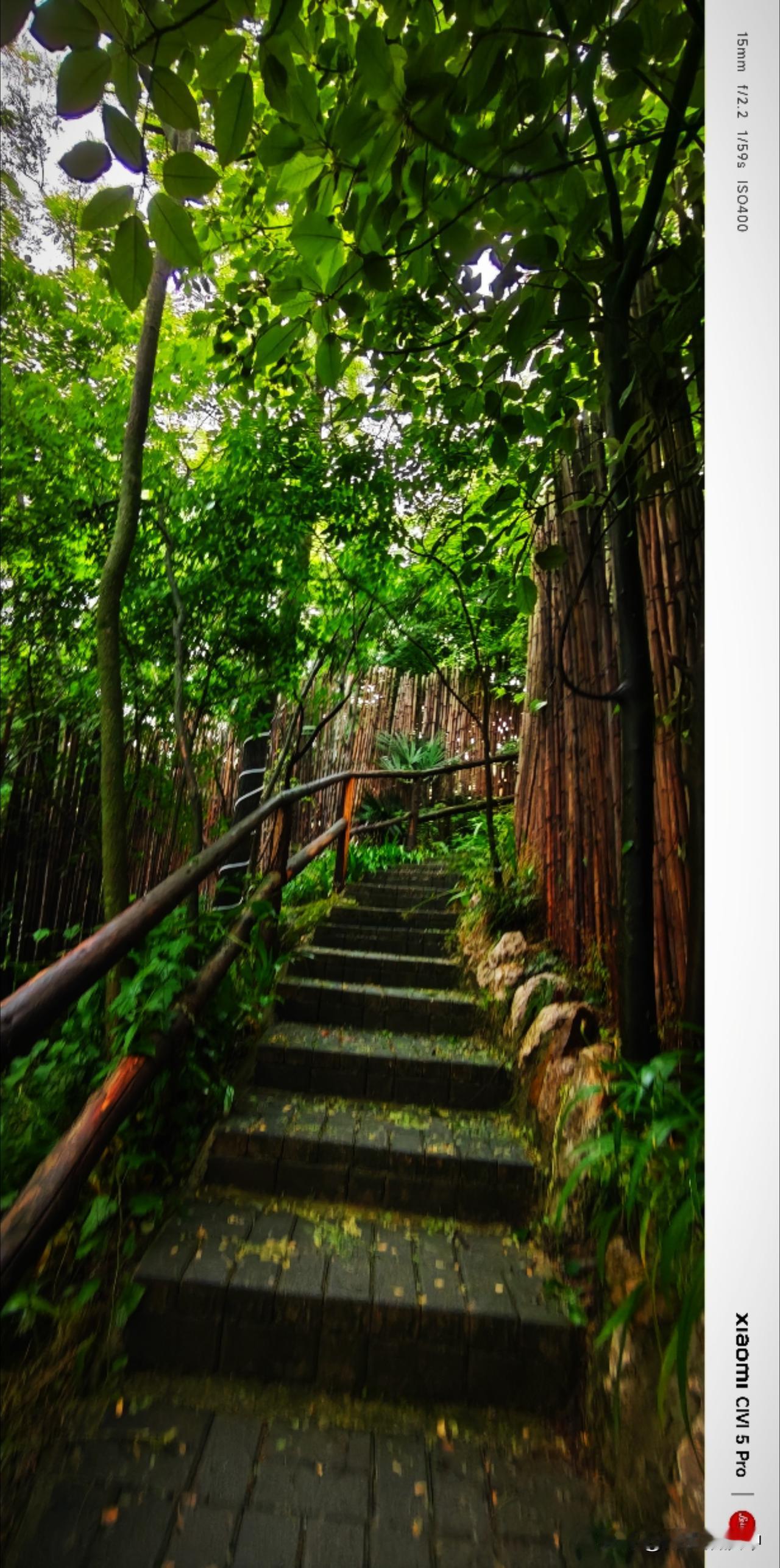 相册里的花花草草友人带着来到了一处农家乐，依山势而建。泊车在门口，我们选择沿着步