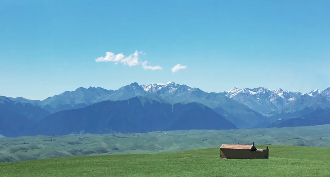 其他应付款过大，有什么风险，怎么处理？