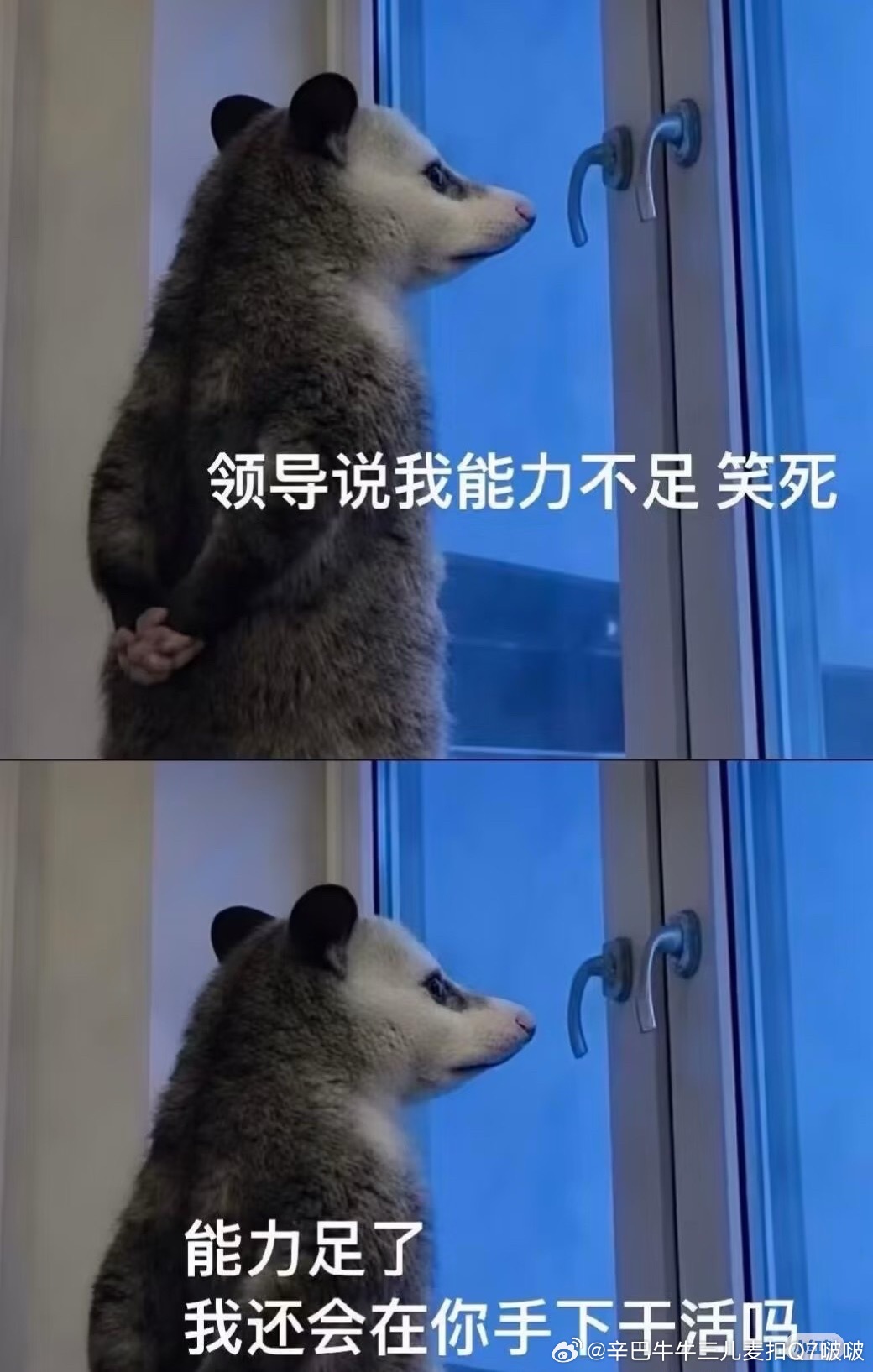 不行了，我真的觉得他说什么都对。不能我一个人傻笑。太好笑了，笑不活了。 
