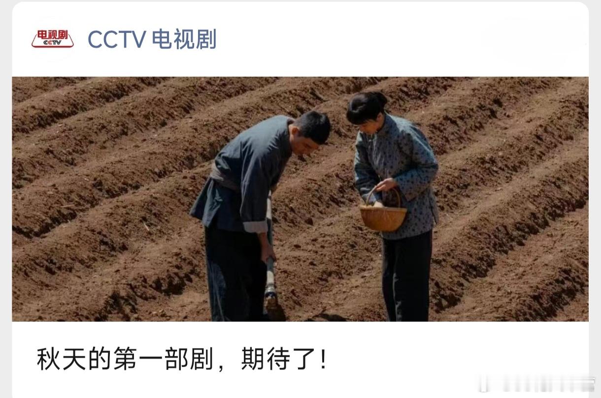 CCTV电视剧——《生万物》，秋天的第一部剧！宁绣绣开启剧宣！杨幂生万物 ​​​