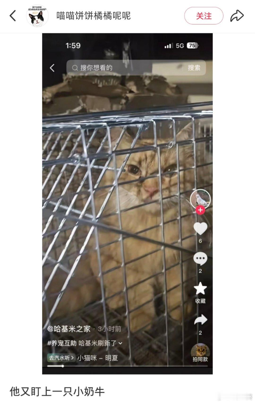 -“一个小时，一条生命”？？“又盯上了一只小奶牛”？？？这是什么情况？？希望平台