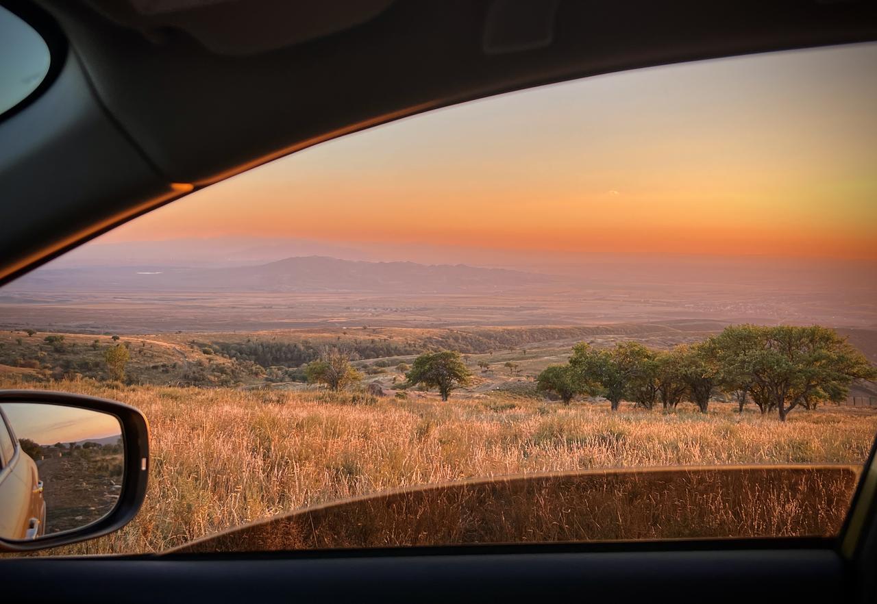 没有心情的春天
被一片小野花唤醒。
人间很多的美
很多的空白，并不在人间。
宁可