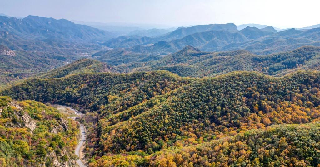 ​​
当秋阳掠过山林，北京已经进入一年中最美的季节，层林尽染的诗意里，藏着不容忽