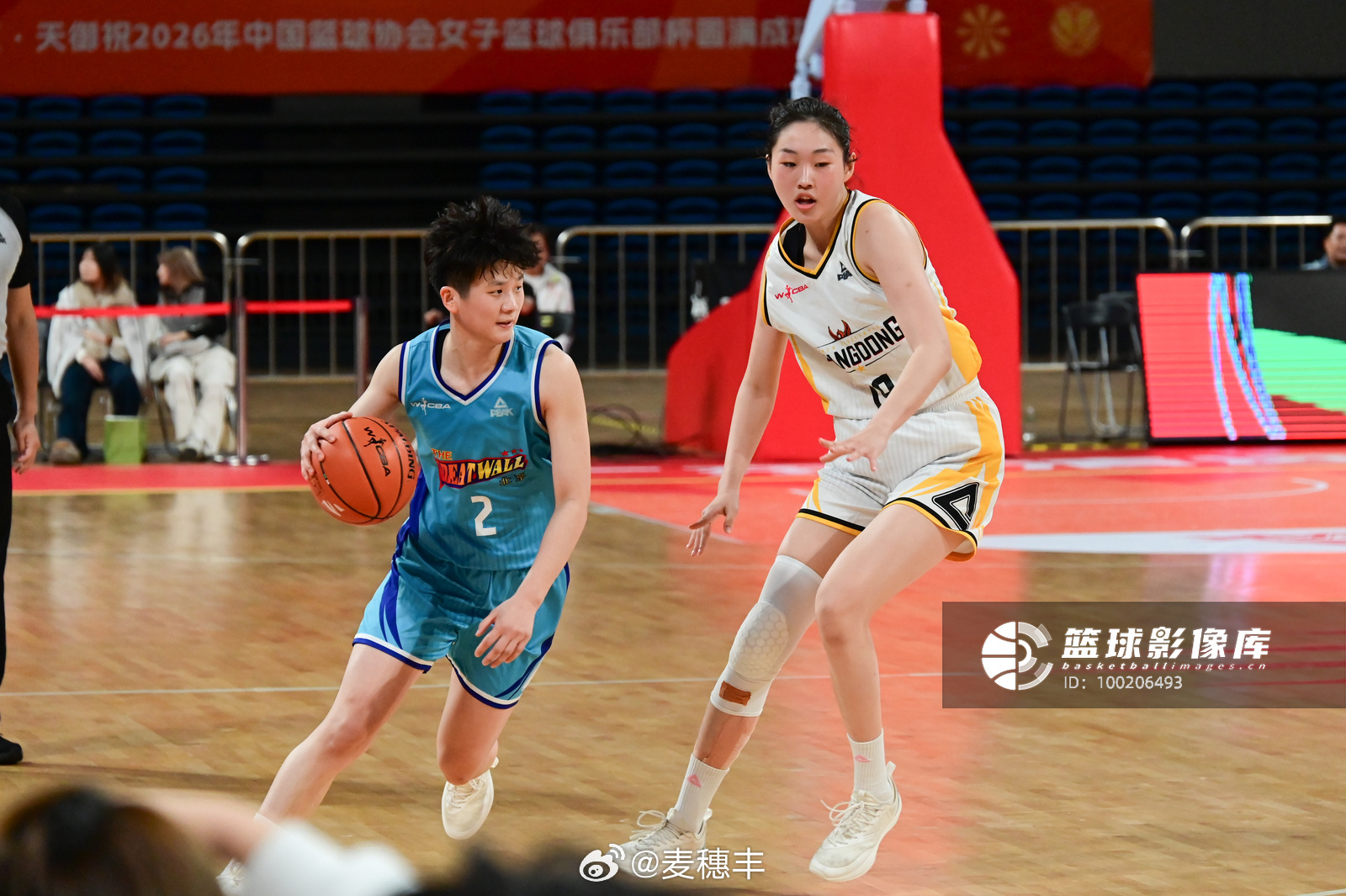 昨日份张明珠。广东女篮vs北京女篮2026年中国篮协女篮俱乐部杯张明珠珠