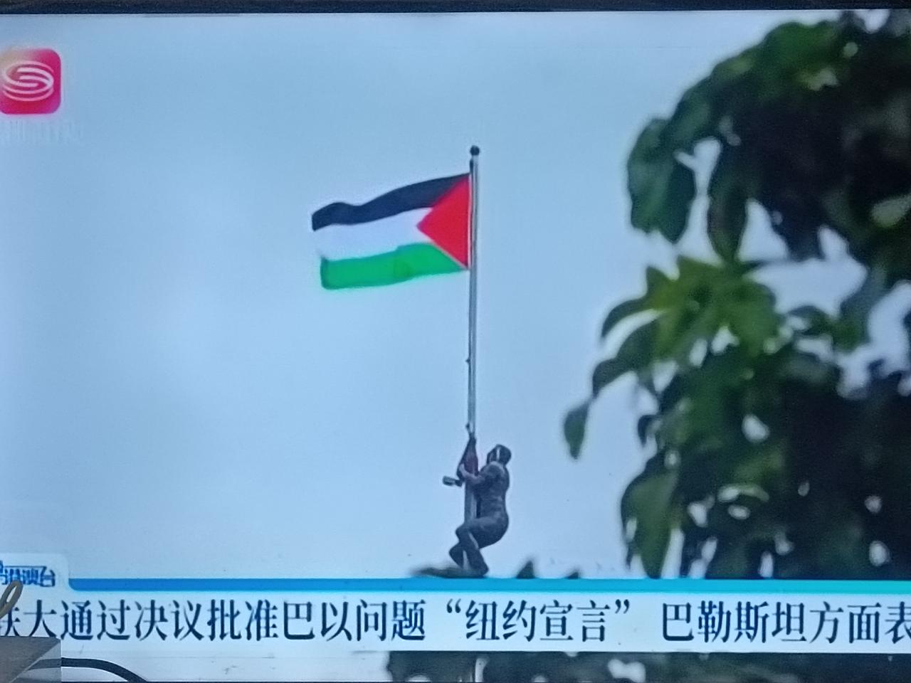有压迫，就有反抗，巴勒斯坦哈马斯加沙地区的民众面对穷凶极恶、武器精良与战术战略上